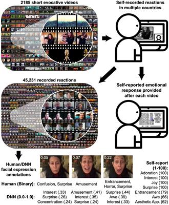 How emotion is experienced and expressed in multiple cultures: a large-scale experiment across North America, Europe, and Japan